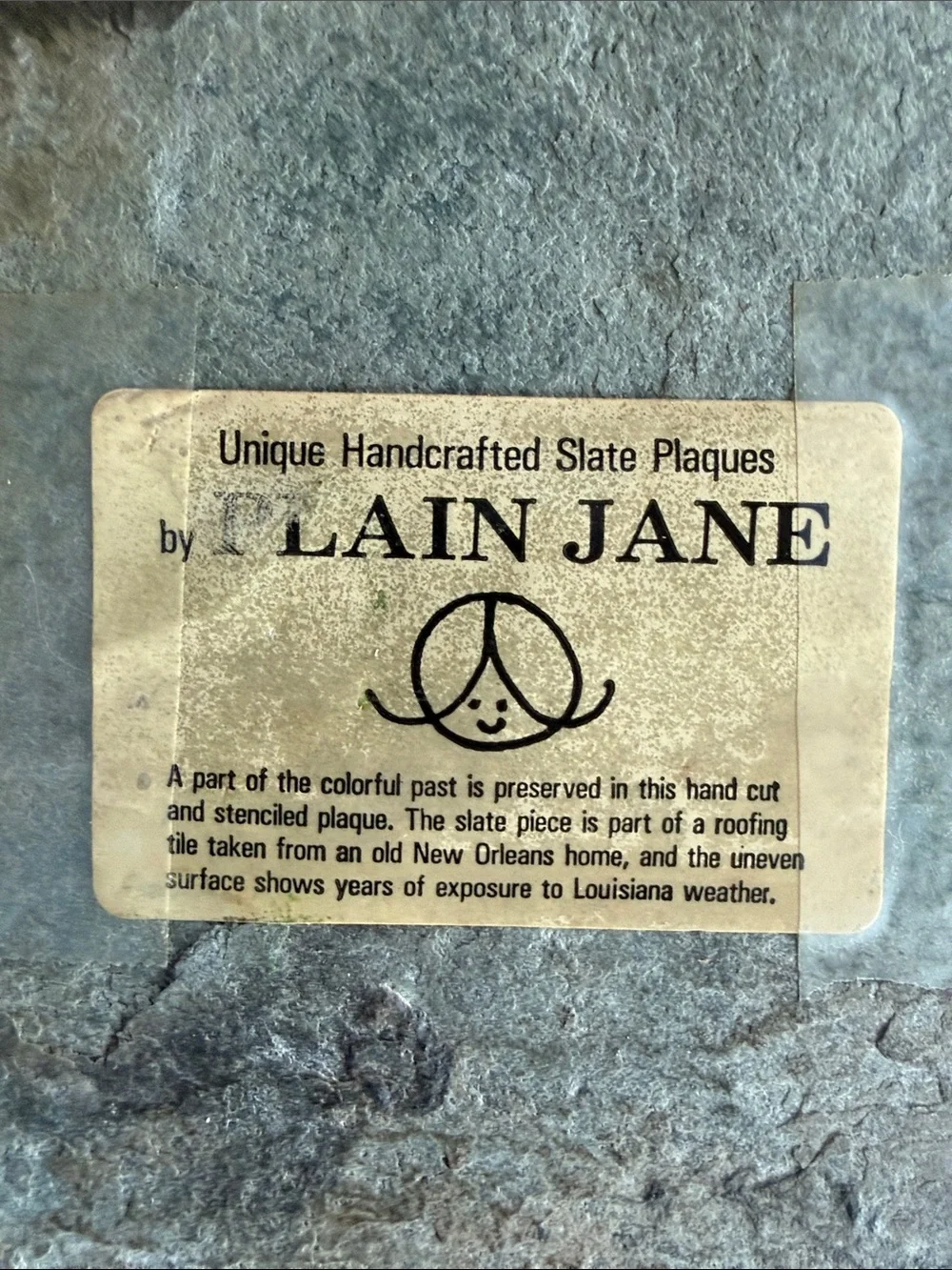 Plain Jane Historical New Orleans Slate Roof Art 'Back Door Guests Are Best'